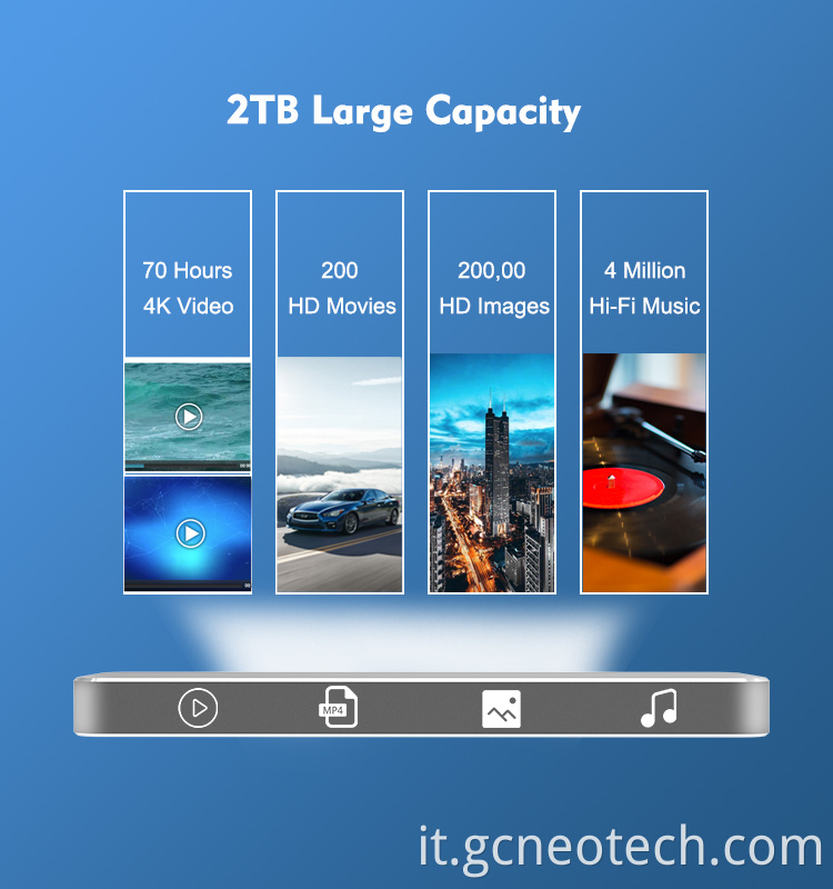 Guanchen M.2 SSD Enclosure Portable SSD Case